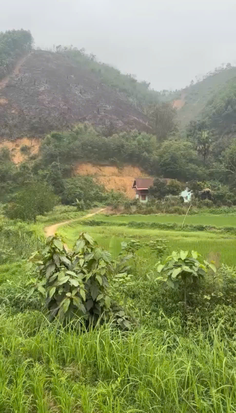 CẦN BÁN NHANH LÔ ĐẤT CHÍNH CHỦ TẠI TÂN DƯƠNG, ĐỊNH HÓA, THÁI NGUYÊN-4