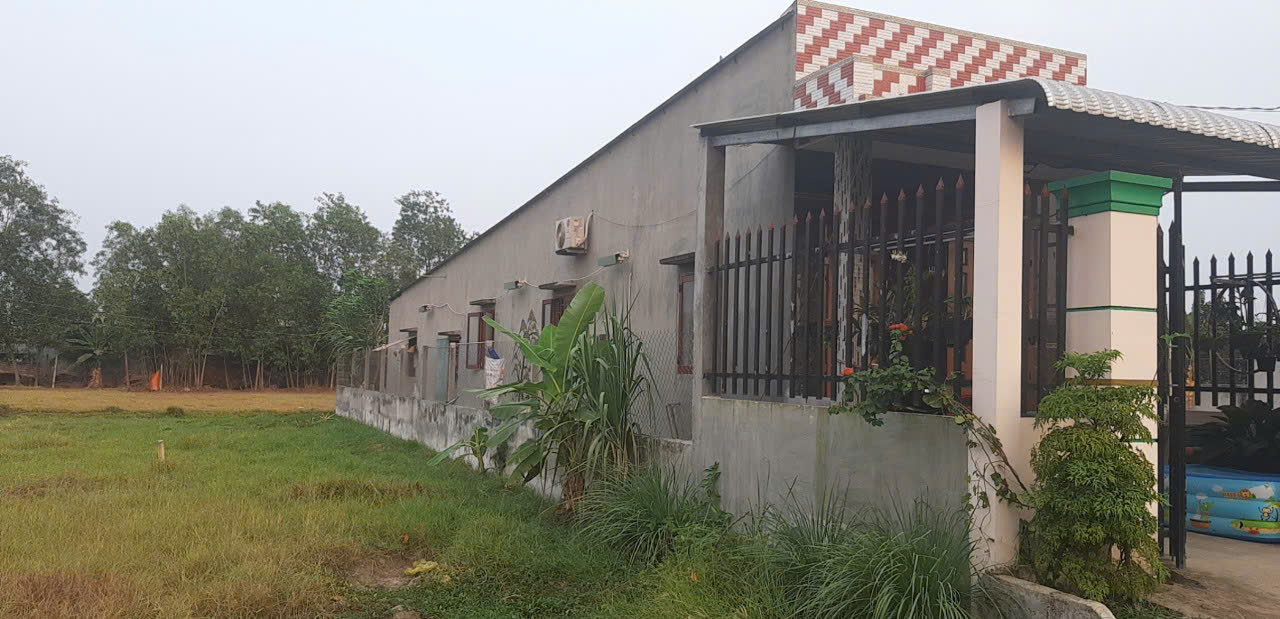 Bán Nhà Tại Ấp Rừng Dầu, Xã Đức Lập, Tỉnh Tây Ninh( Mỹ Hạnh Bắc, Đức Hòa Long An cũ)