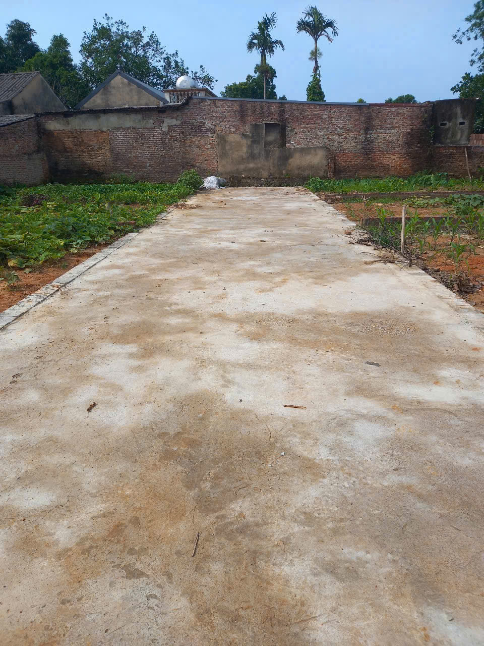 Chủ thở oxy bán cắt lỗ lô đất 82,2m2 full thổ cư đường 4m ô tô vào đất tại Sơn Đoài- Tân Minh- Sóc Sơn- Hà Nội