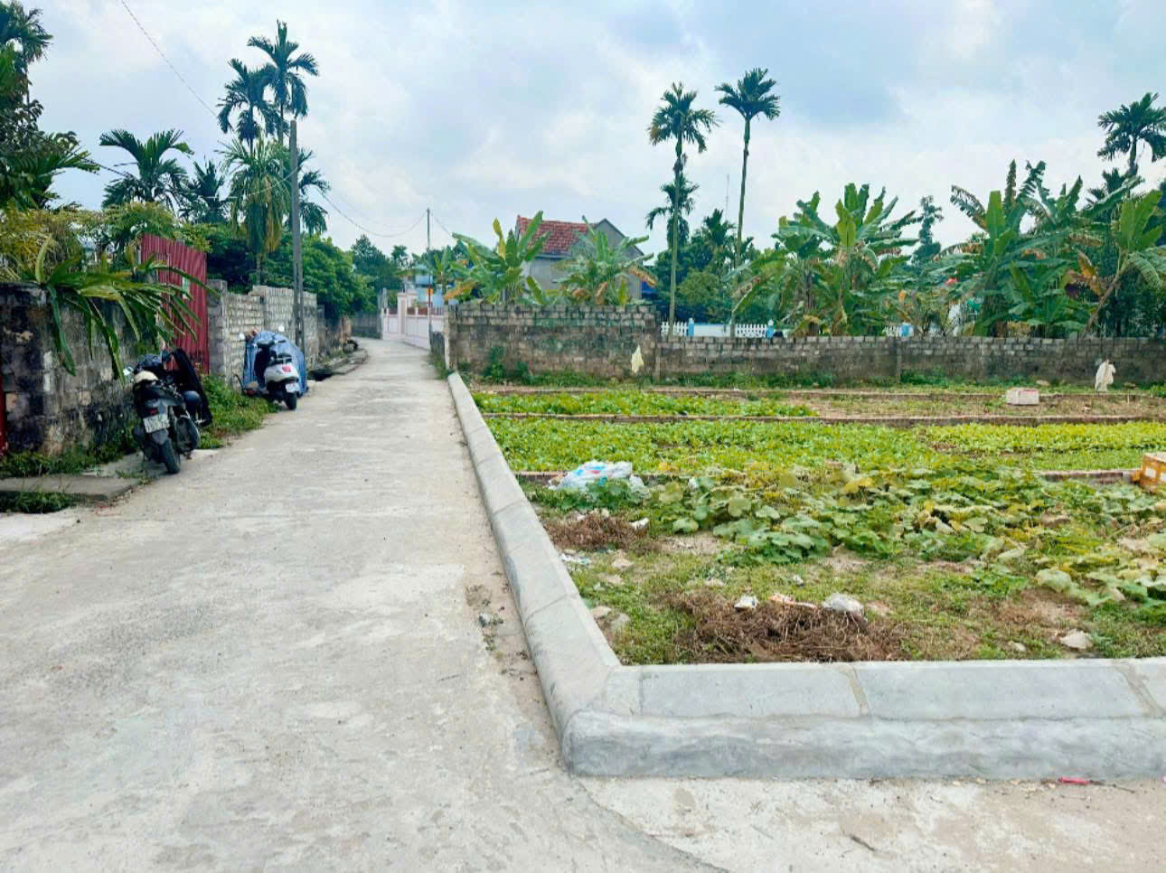 SỞ HỮU NGAY LÔ ĐẤT ĐẸP - GIÁ TỐT - Vị Trí Đắc Địa Tại Tổ Dân Phố 8 - Phường Lưu Kiếm - Hải Phòng