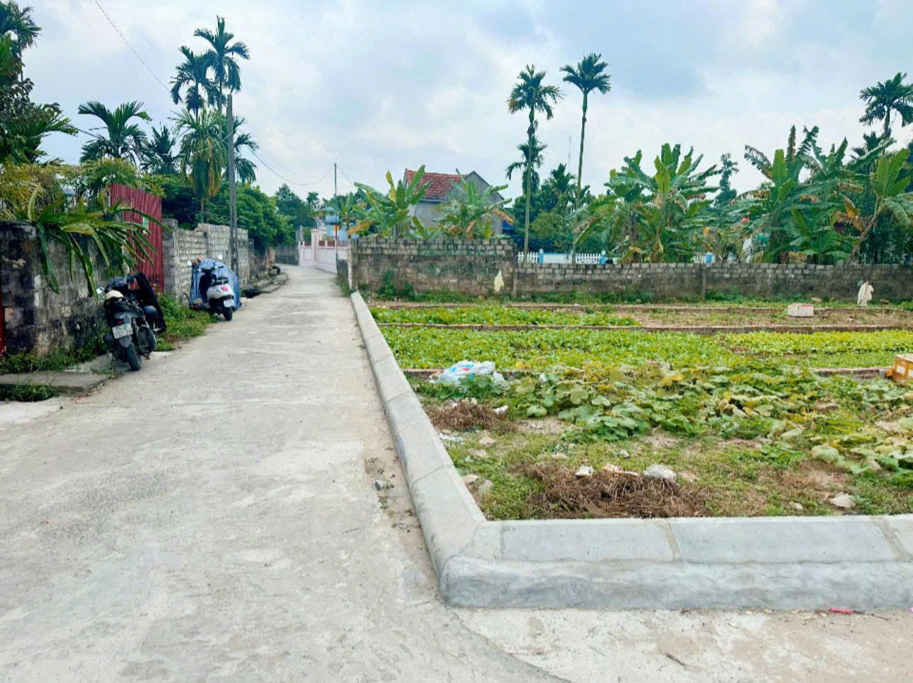 SỞ HỮU NGAY LÔ ĐẤT ĐẸP - GIÁ TỐT - Vị Trí Đắc Địa Tại Tổ Dân Phố 8 - Phường Lưu Kiếm - Hải Phòng