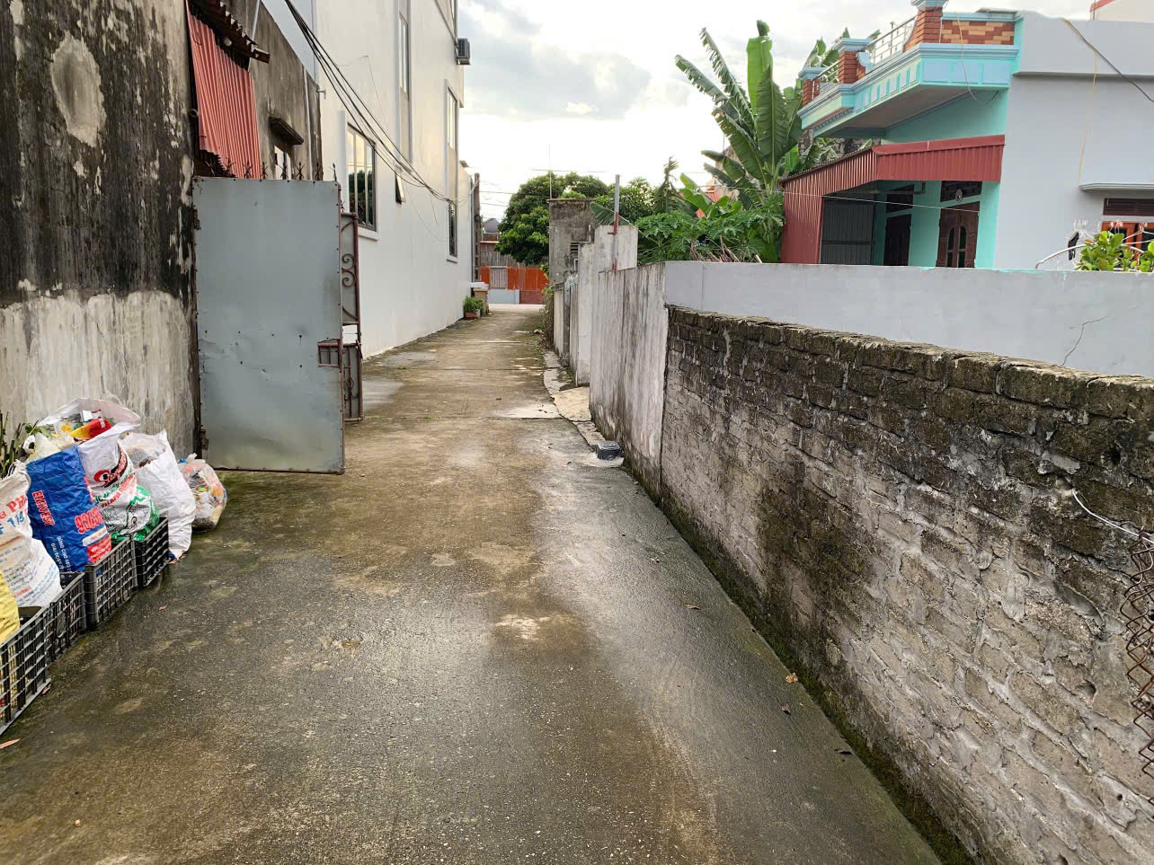 CHÍNH CHỦ BÁN ĐẤT FULL THỔ CƯ XÃ THANH MIỆN, TP HẢI PHÒNG
