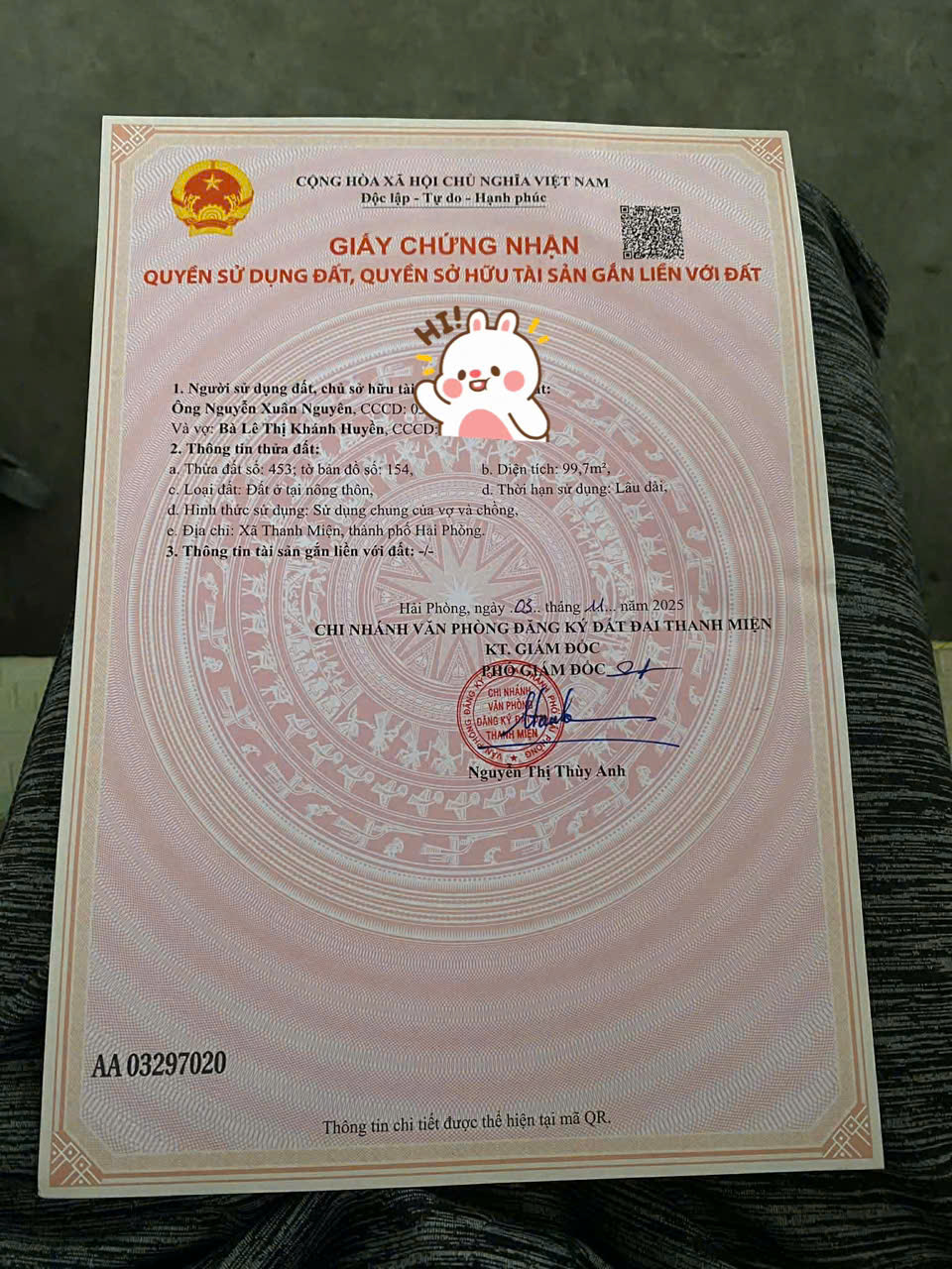 CHÍNH CHỦ BÁN ĐẤT FULL THỔ CƯ XÃ THANH MIỆN, TP HẢI PHÒNG-3