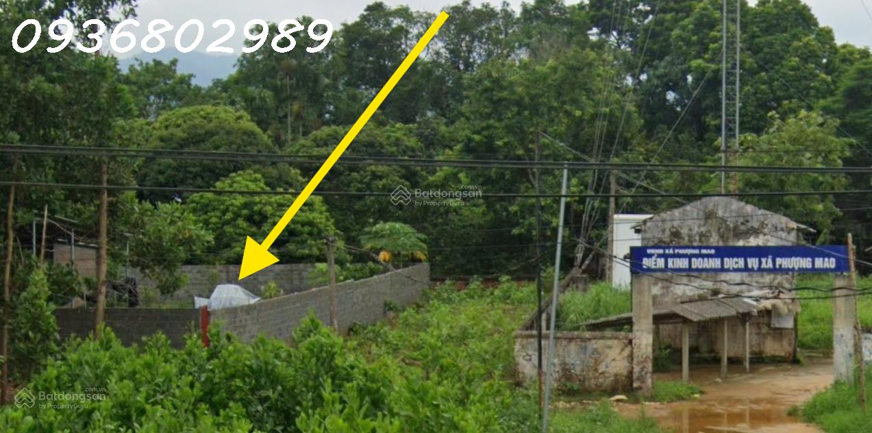 Cặp đất thổ cư liền kề 390,5m² mặt tiền 12m, sát chợ, ĐT317, Cổng Kho, Tu Vũ, Thanh Thủy-4