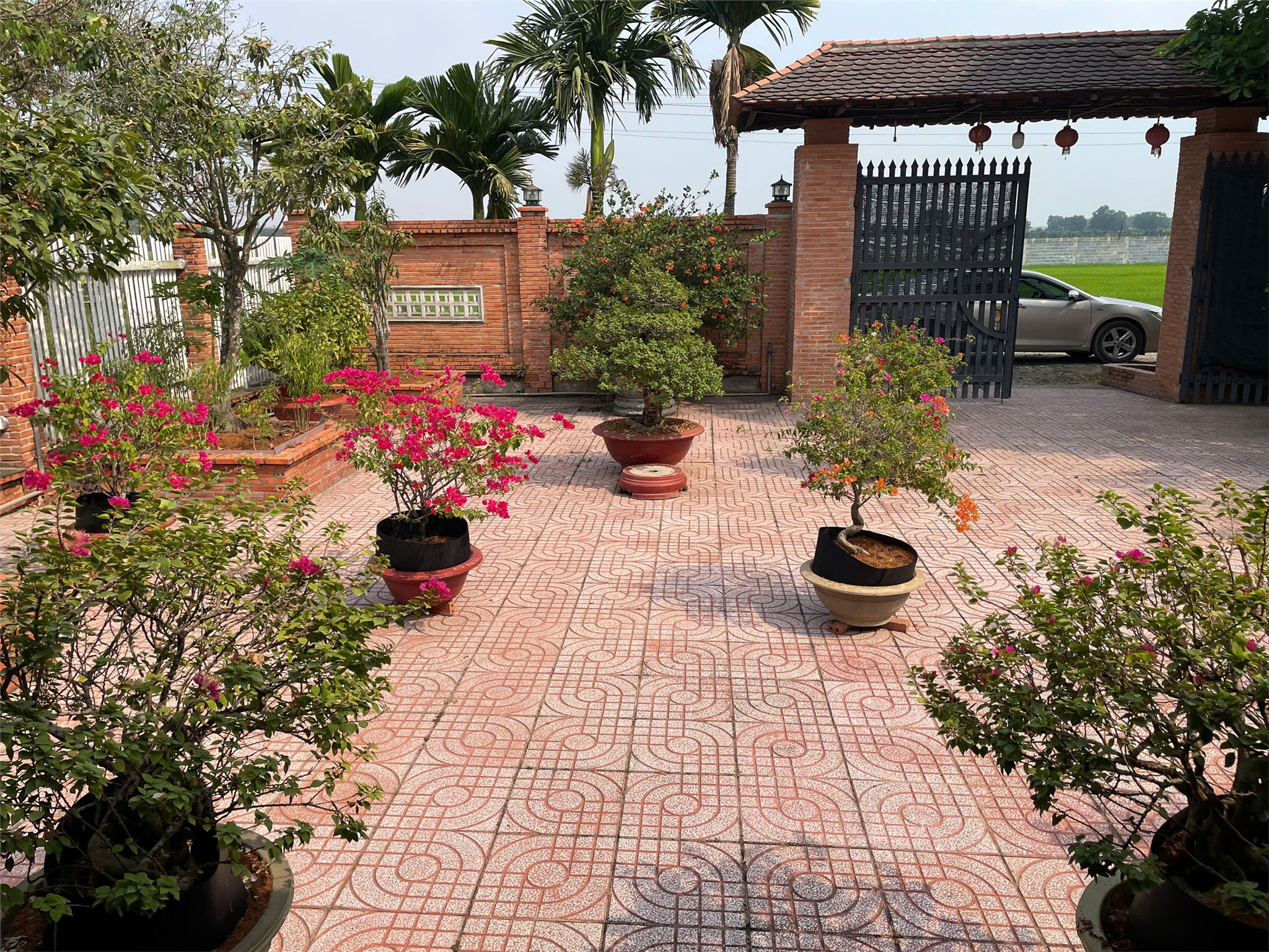ĐẤT ĐẸP – GIÁ TỐT- CHÍNH CHỦ CẦN BÁN ĐẤT Tại Ấp Lộc Trung Xã Hưng Thuận, huyện Trảng Bàng, tỉnh Tây Ninh-3
