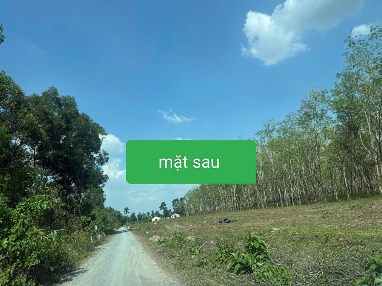 SIÊU PHẨM (46x110) 2MT CỦ CHI – 4.500m², THỔ CƯ 2.600m², CHỈ 8 TRIỆU/m²-1
