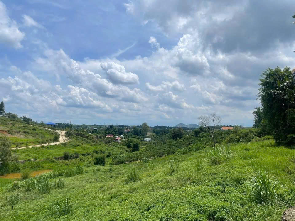 Bán 3880m2 đất Ninh Gia Đức Trọng Lâm Đồng 3,9 tỷ-4