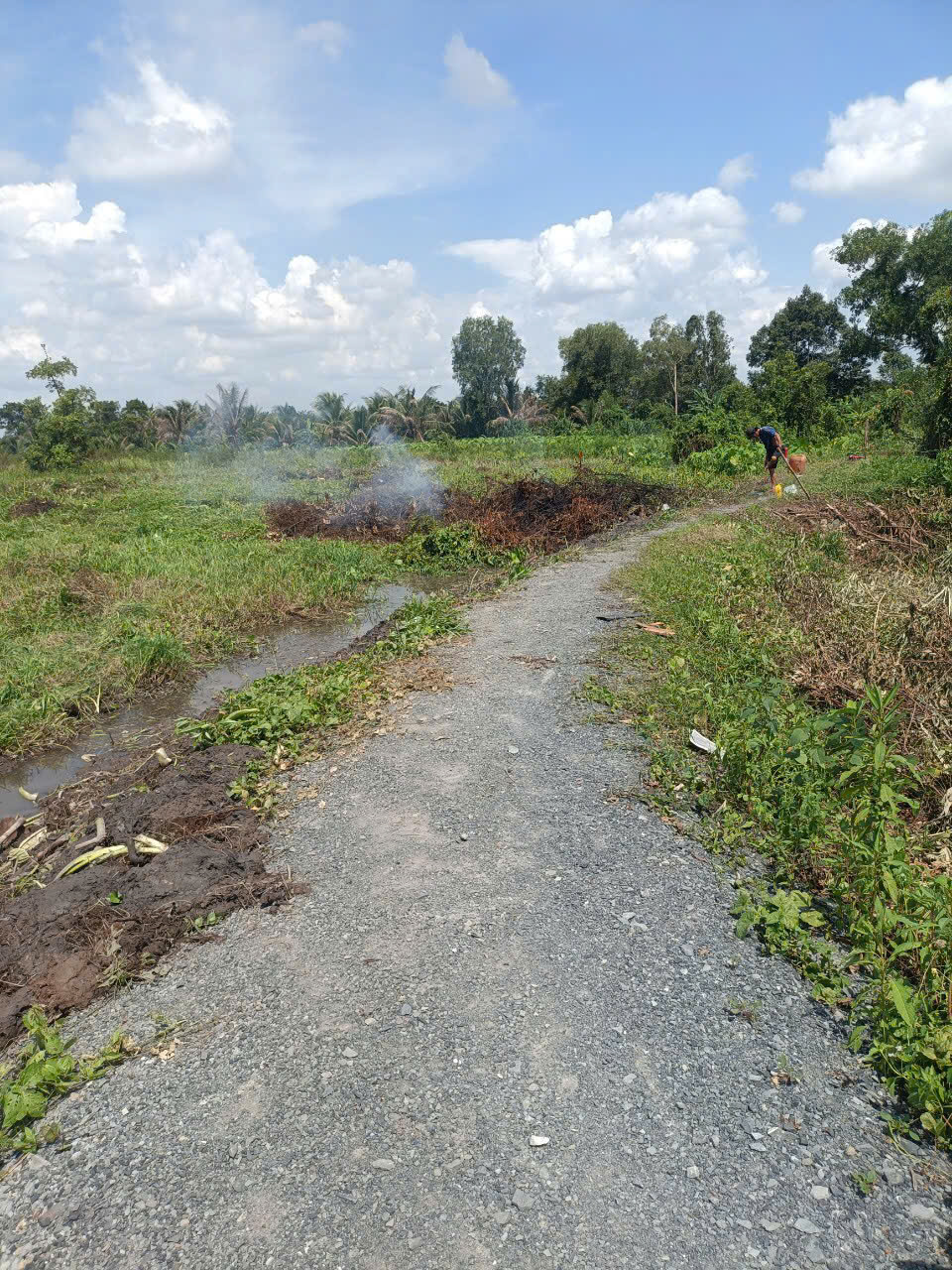 Chính chủ bán 3.369m2 đất xã Trung An, Củ Chi, TP.HCM - Giá chỉ 3,5 tỷ, cơ hội đầu tư hấp dẫn