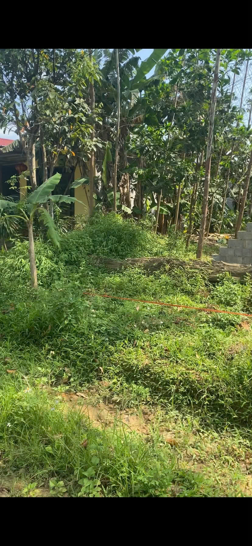 Chính chủ bán đất Cây Thị, Nam Hòa, Thái Nguyên - 710m2 - Mặt tiền 15,5m - Có thể chia 3 lô, chỉ 1,x tỷ