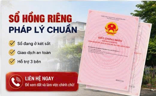 SIÊU PHẨM LÔ GÓC 2 MẶT TIỀN – Liên Ấp 2-3- Bình Chánh - 24m x52m Chỉ 55 Tỷ-4