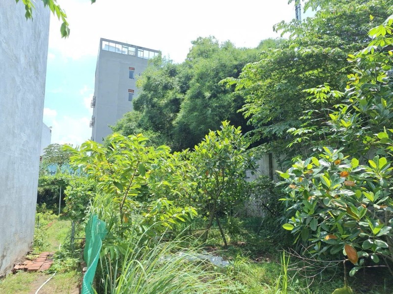Bán gấp nhà vườn 660m2 , đường 182, Tăng Nhơn Phú A, Q9. Thủ Đức, TP HCM. Giá 18.3 tỷ.-4