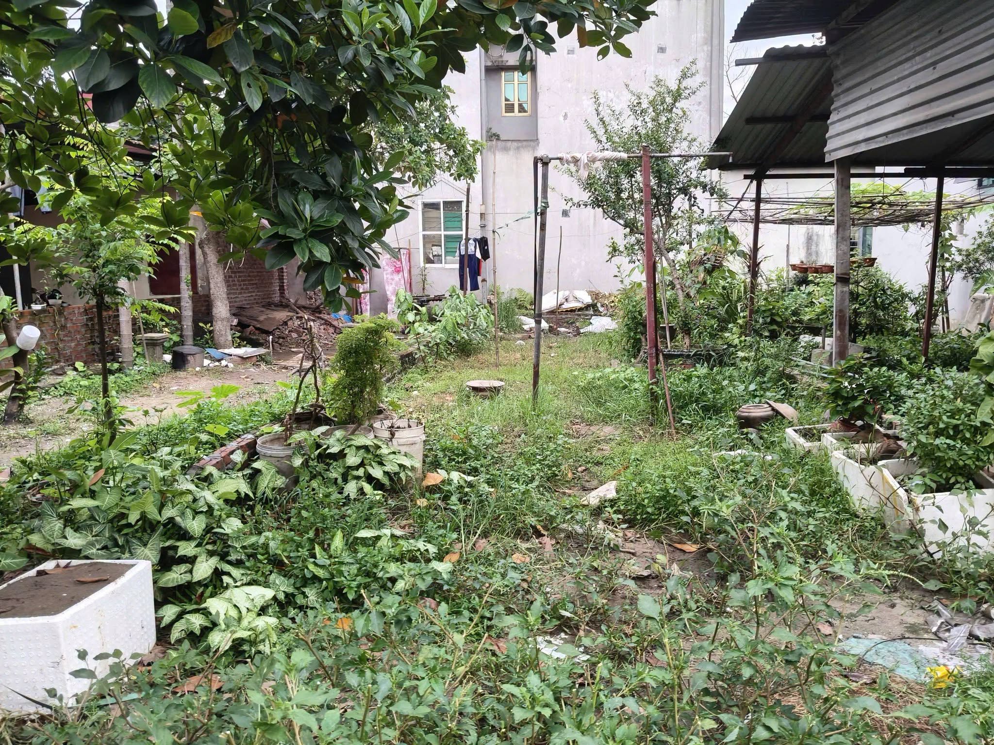 Ngõ thông, bãi xe 67m2, mt4m, ô tô, 4.9x tỷ, Nam Hồng, Đông Anh.