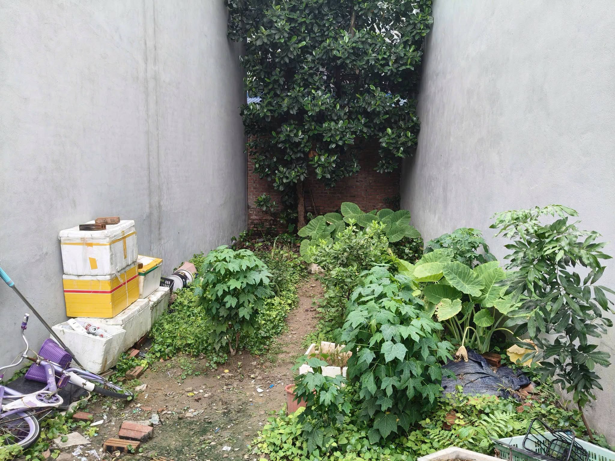 Nhỏ xinh, vừa túi 44m2, mt4m, 2.55 tỷ, gần phố, Nguyên Khê, Đông Anh.