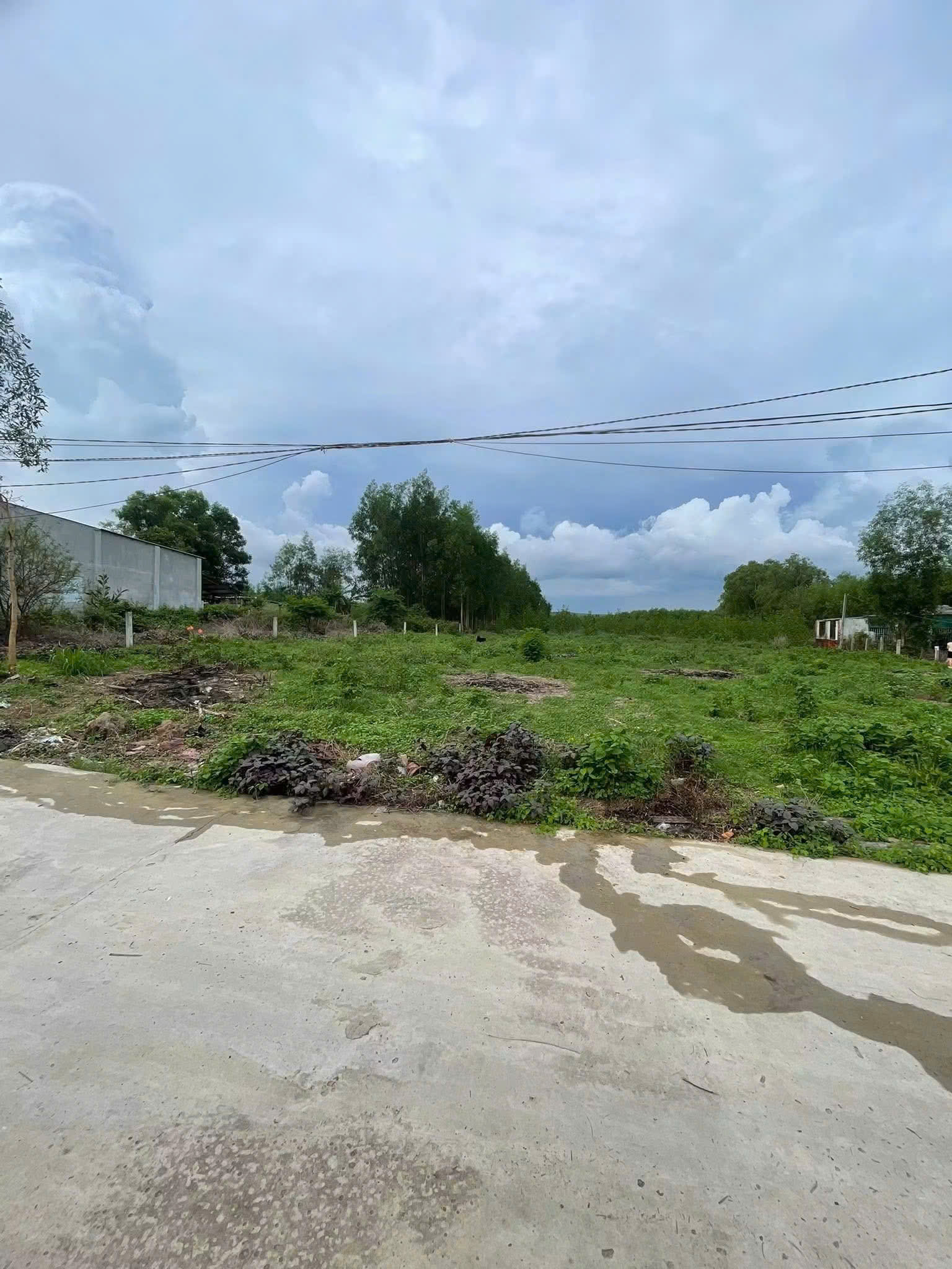 Bán 1080m2 đất hẻm Trưng Trắc, Tân An LaGi giá mềm