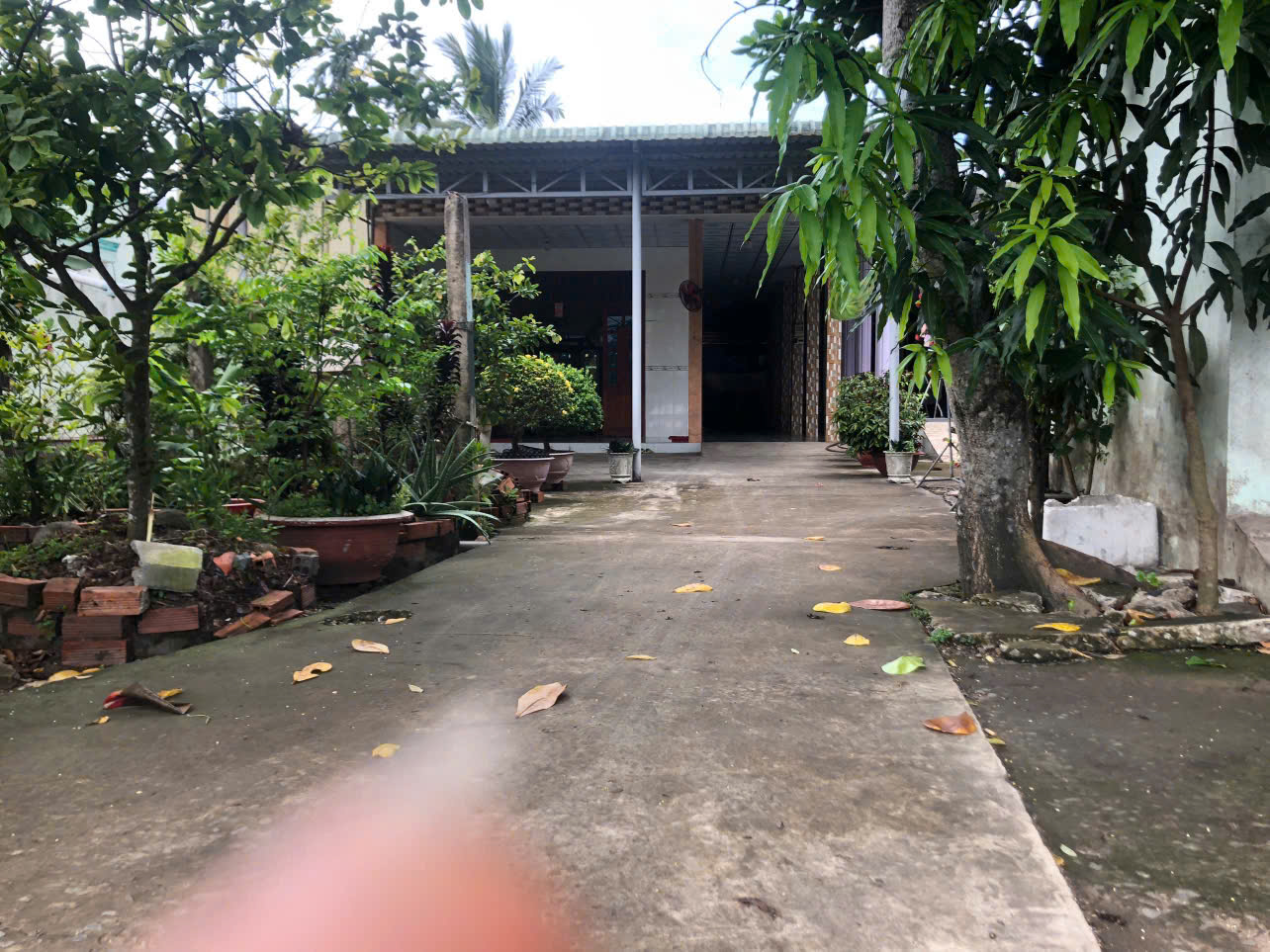 CHÍNH CHỦ CẦN BÁN NHÀ - ĐẤT MẶT TIỀN QUỐC LỘ 1A – VỊ TRÍ ĐẸP, FULL THỔ CƯ - CHÂU THÀNH - TIỀN GIANG-3