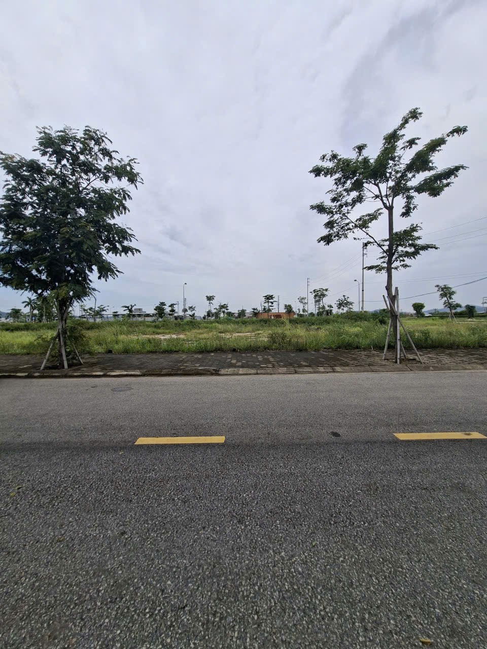 HOT HOT NHANH TAY SỞ HỮU ĐẤT LK01- 28 DỰ ÁN TẠI NAM THẮNG RESIDENCE, đường Quốc lộ 18, phường Trần Hưng Đạo, Hải Phòng-3