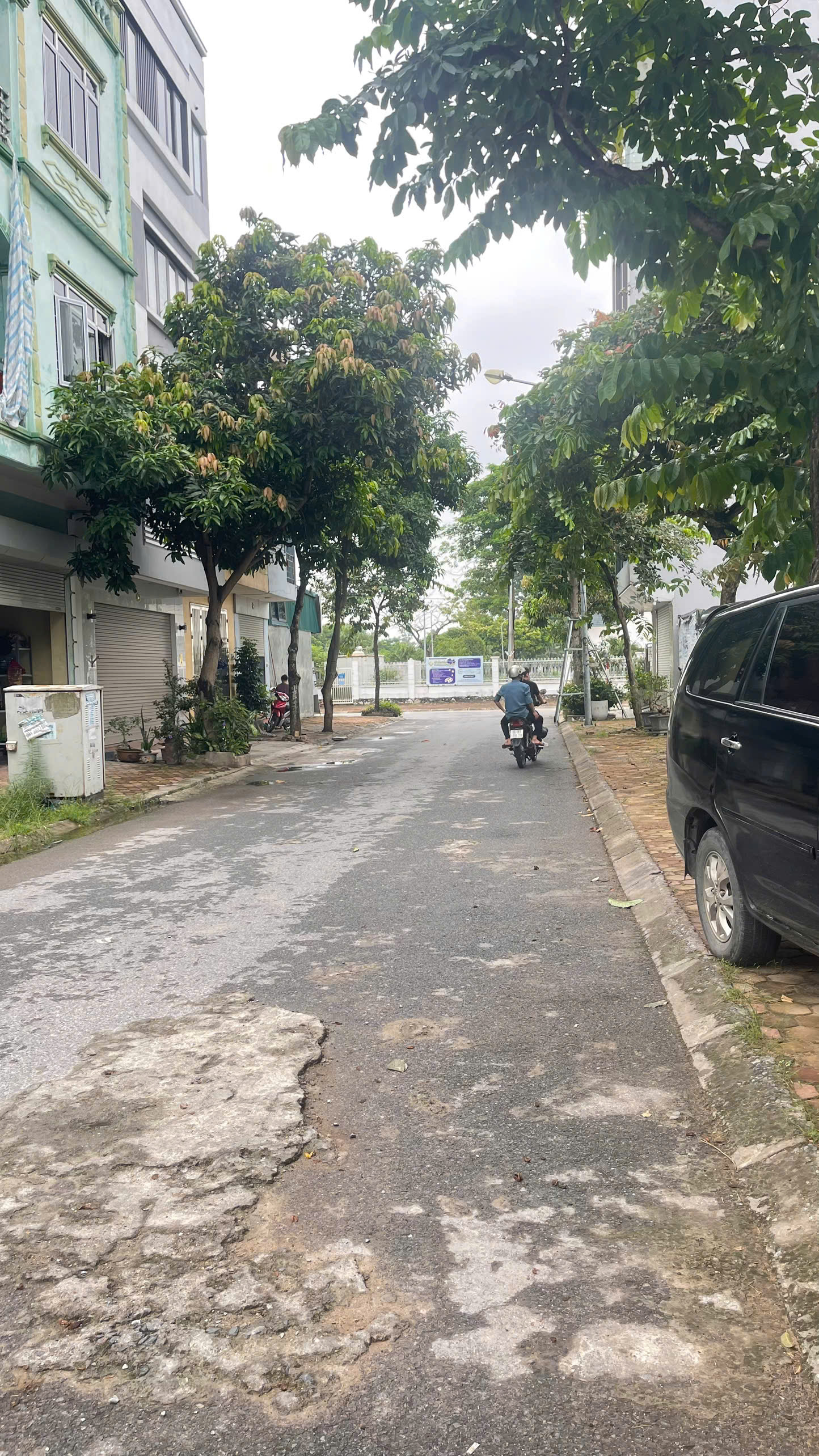 🔥 CHỦ CẦN BÁN ĐẤT TÁI ĐỊNH CƯ TRÂU QUỲ – VIEW VƯỜN HOA, ĐƯỜNG 11M CÓ VỈA HÈ – VỊ TRÍ CỰC ĐẸP! 🔥