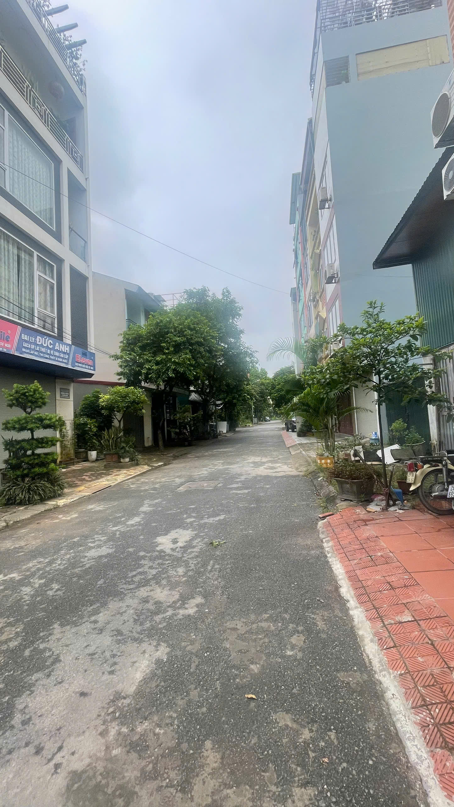 🔥 CHỦ CẦN BÁN ĐẤT TÁI ĐỊNH CƯ TRÂU QUỲ – VIEW VƯỜN HOA, ĐƯỜNG 11M CÓ VỈA HÈ – VỊ TRÍ CỰC ĐẸP! 🔥