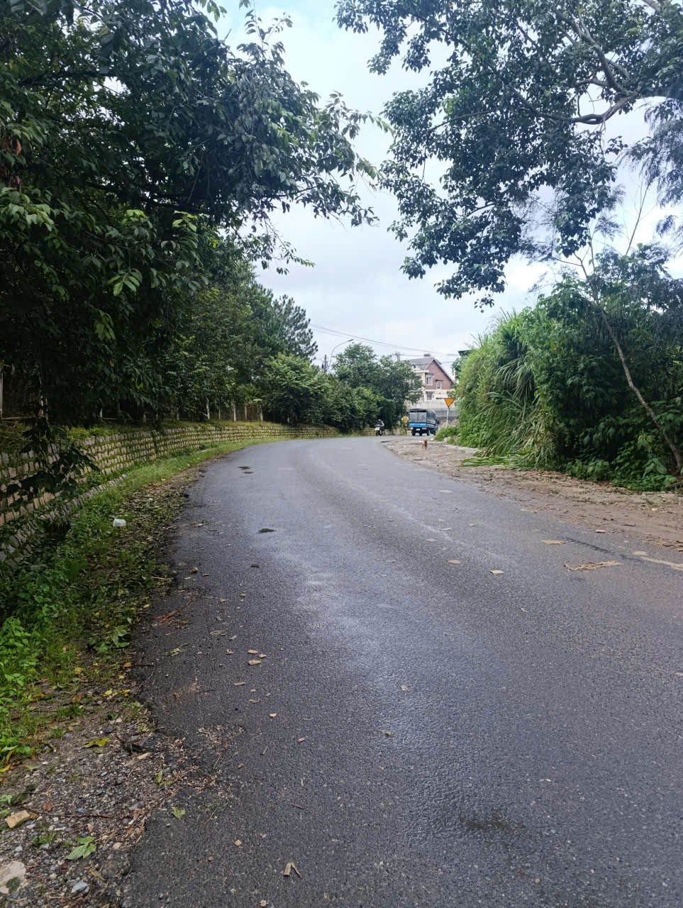 ĐẤT ĐẸP- GIÁ TỐT BÁN NHANH LÔ ĐẤT ĐẦU TƯ LÀ SINH LỜI TẠI TP. Đà Lạt, tỉnh Lâm Đồng