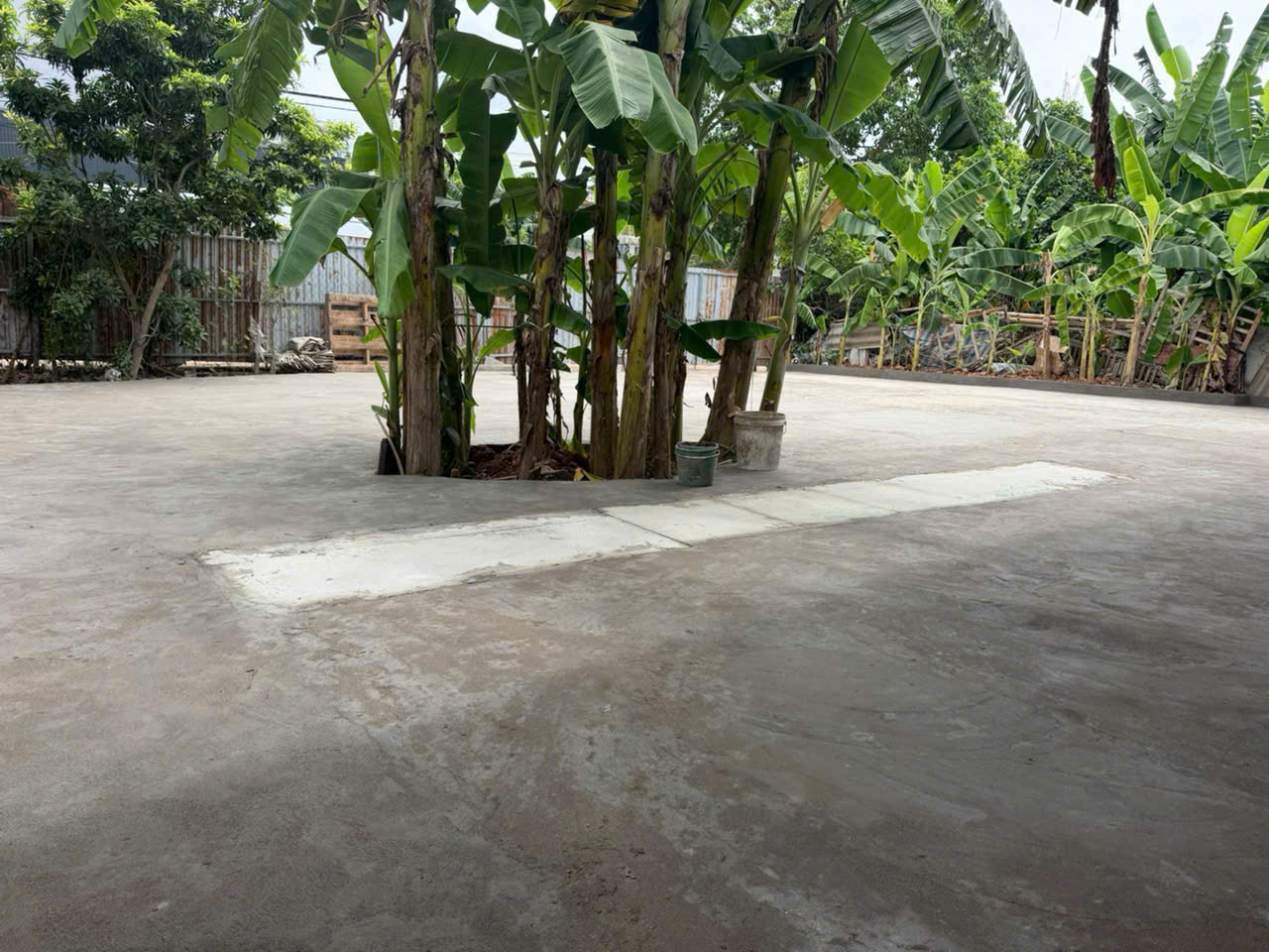 CHO THUÊ SÂN VƯỜN TẠI TÂN XUÂN, PHƯỜNG XUÂN ĐỈNH, HÀ NỘI. LH:0912172283.