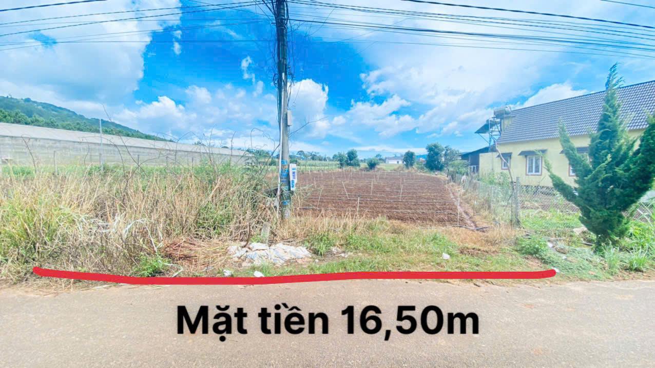 Đất hẻm nhựa thông quốc lộ 20 và cao tốc, hiệp an cũ, đức trọng, lâm đồng