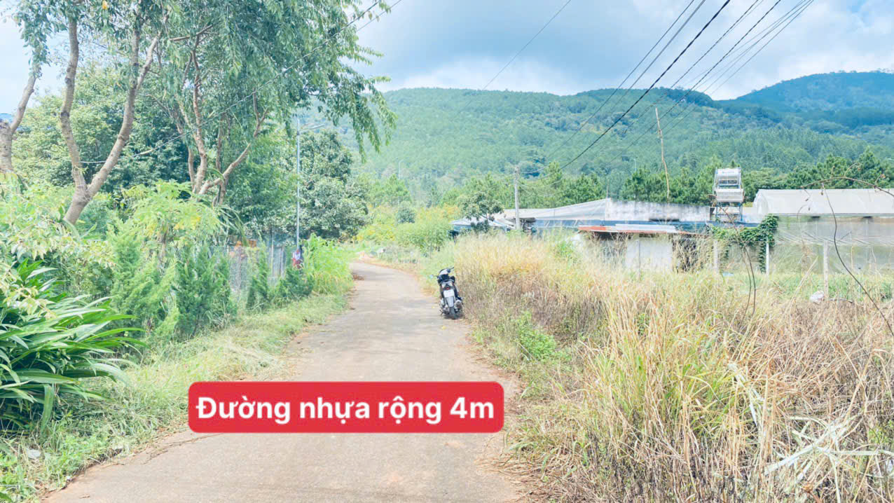 Đất hẻm nhựa thông quốc lộ 20 và cao tốc, hiệp an cũ, đức trọng, lâm đồng