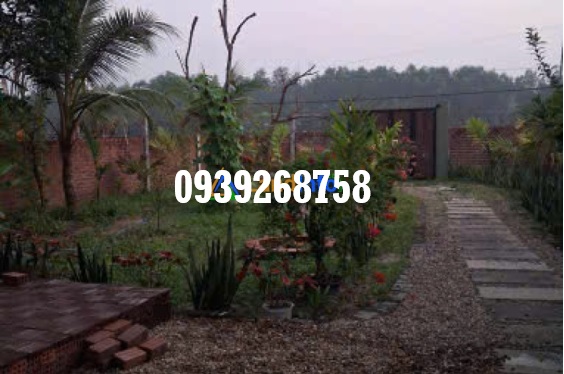 ⭐️Chính chủ bán nhà vườn thôn An Thành, Duy Trung (Duy Xuyên, Quảng Nam), TP.Đà Nẵng; 0939268758-3