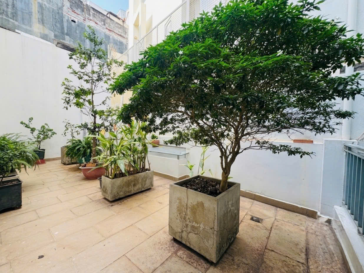 Vị Thế Đẹp K300 Tân Bình - Đường 8m, ngang 7m nở hậu 10m, Diện tích 240m²-3
