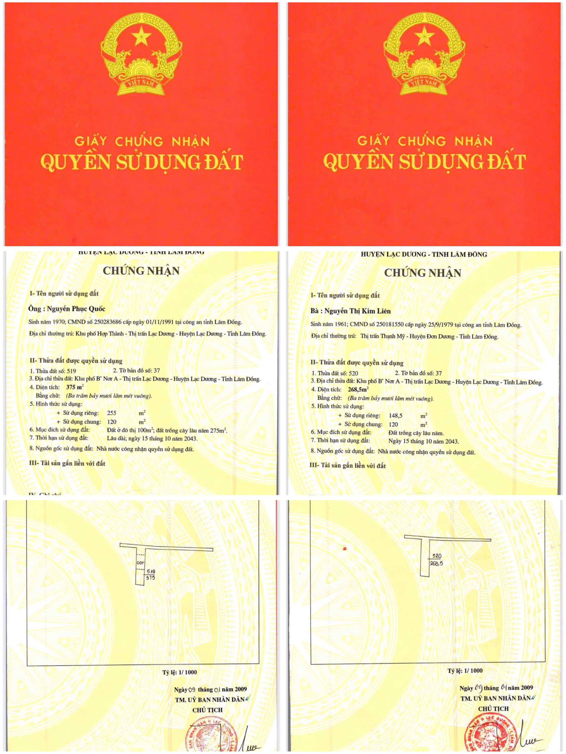 CHÍNH CHỦ CẦN BÁN GẤP LÔ ĐẤT BIỆT THỰ ĐƯỜNG LẠC LONG QUÂN TRUNG TÂM PHƯỜNG LANGBIANG - ĐÀ 
