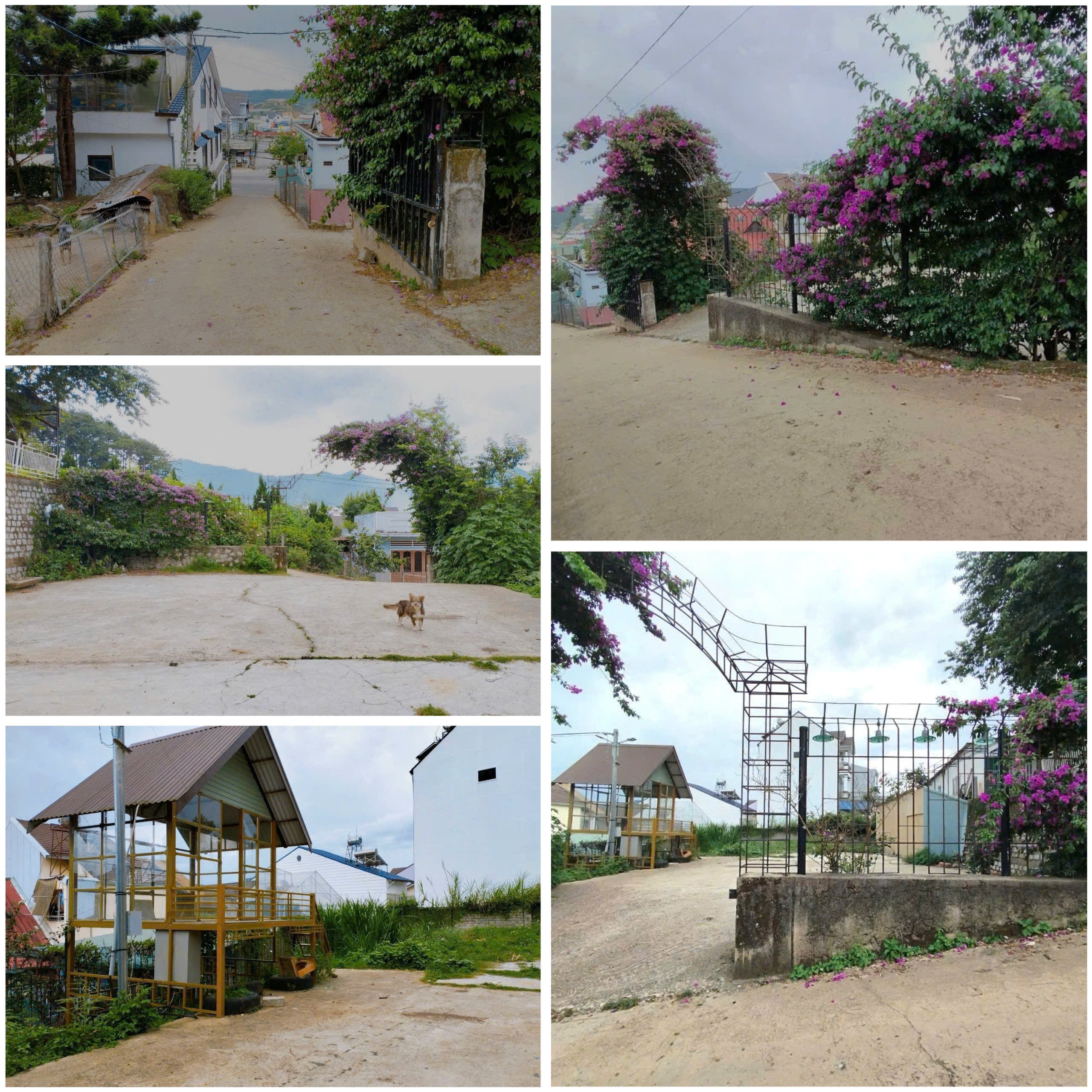 CHÍNH CHỦ CẦN BÁN GẤP LÔ ĐẤT BIỆT THỰ ĐƯỜNG LẠC LONG QUÂN TRUNG TÂM PHƯỜNG LANGBIANG - ĐÀ -1