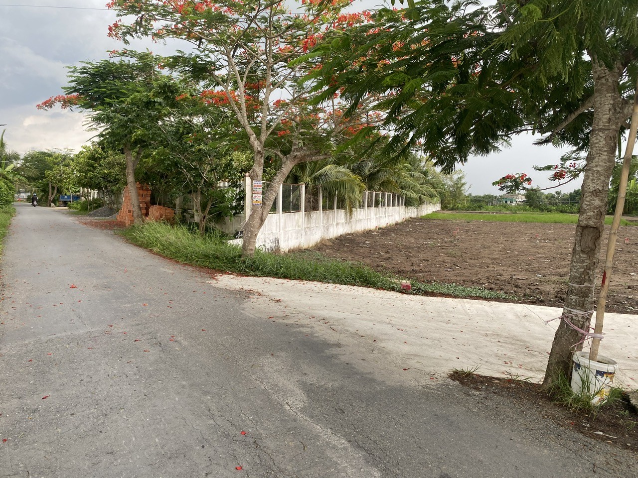 ĐẤT ĐẸP – GIÁ TỐT- CHÍNH CHỦ CẦN BÁN ĐẤT Tại  Xã Tân Lân, Huyện Cần Đước, Long An