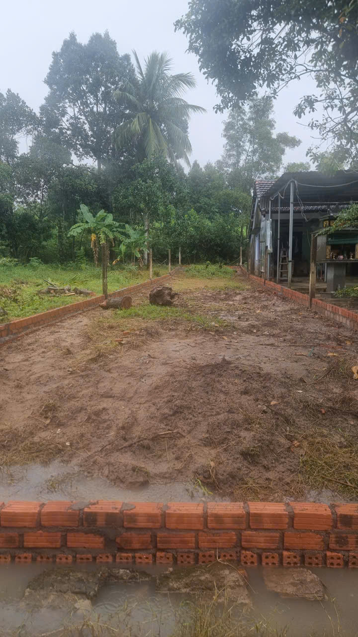 CHÍNH CHỦ BÁN ĐẤT HÒA TIẾN – FULL ĐẤT Ở – GIÁ CHỈ 1,5 TỶ (CÓ THƯƠNG LƯỢNG) - TP ĐÀ NẴNG-4