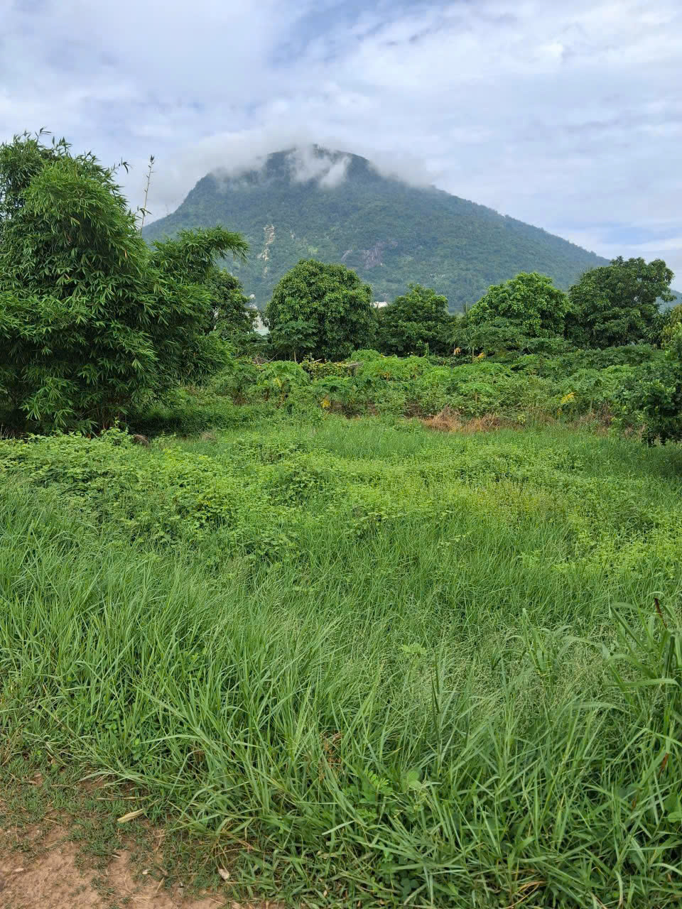 CHÍNH CHỦ BÁN ĐẤT SUỐI ĐÁ – DƯƠNG MINH CHÂU – TÂY NINH