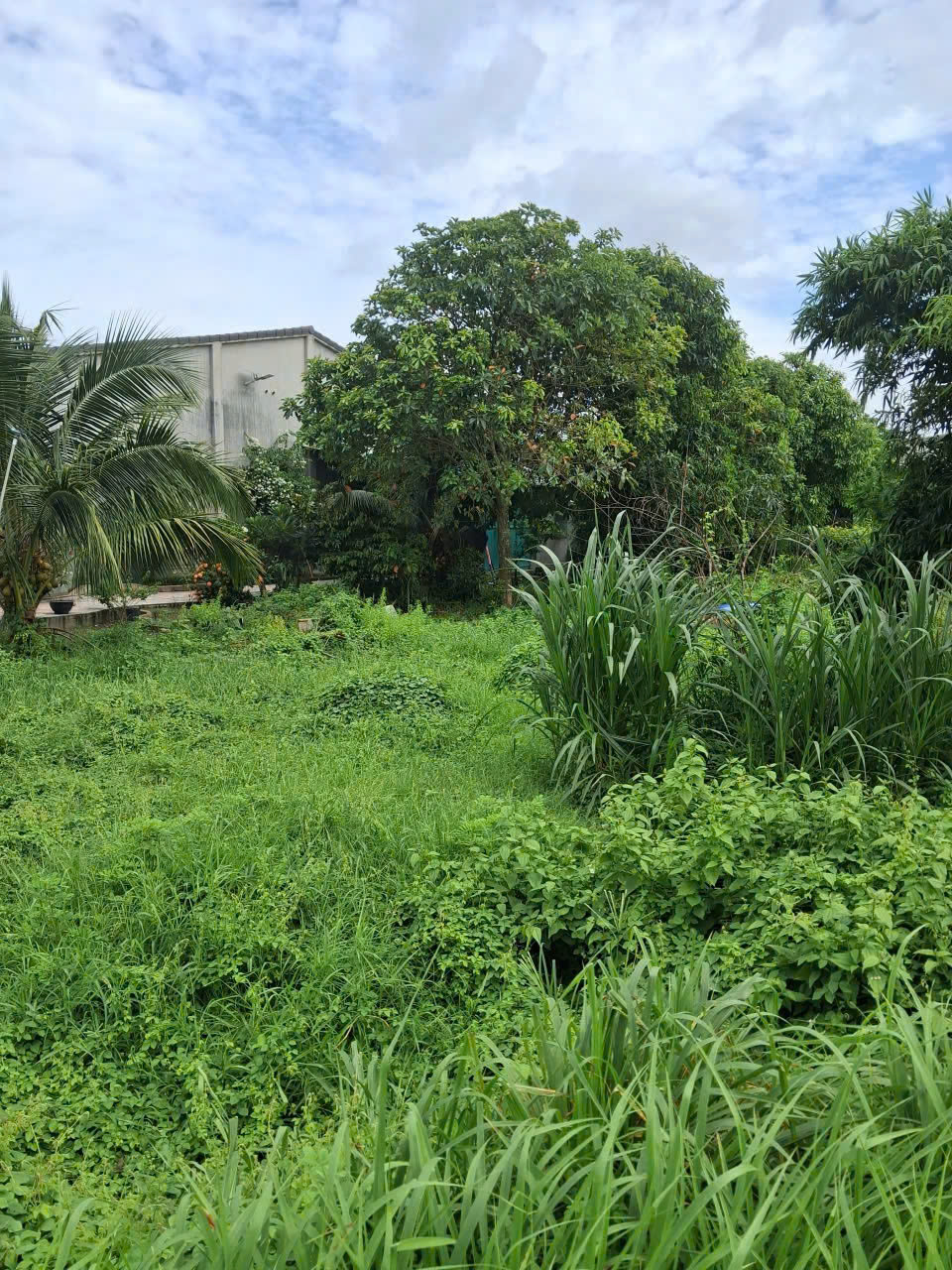 CHÍNH CHỦ BÁN ĐẤT SUỐI ĐÁ – DƯƠNG MINH CHÂU – TÂY NINH