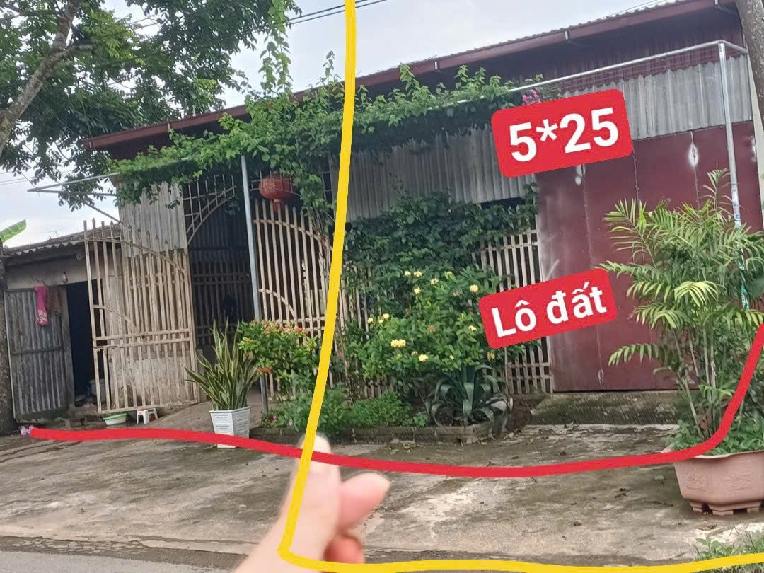 HOT HOT – CHÍNH CHỦ CẦN BÁN ĐẤT MẶT TIỀN QL.217, X. Cẩm Ngọc, H. Cẩm Thủy, T. Thanh Hóa-3