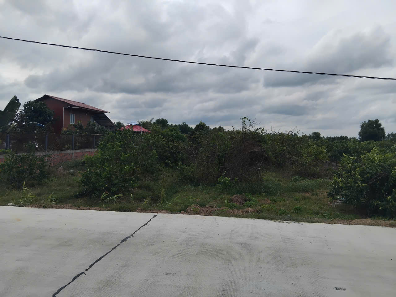 SỞ HỮU NGAY LÔ ĐẤT ĐẸP - GIÁ TỐT - Vị Trí Đắc Địa Tại : Ấp Thạnh Hòa - Xã Thạnh Lợi - Tỉnh Tây Ninh