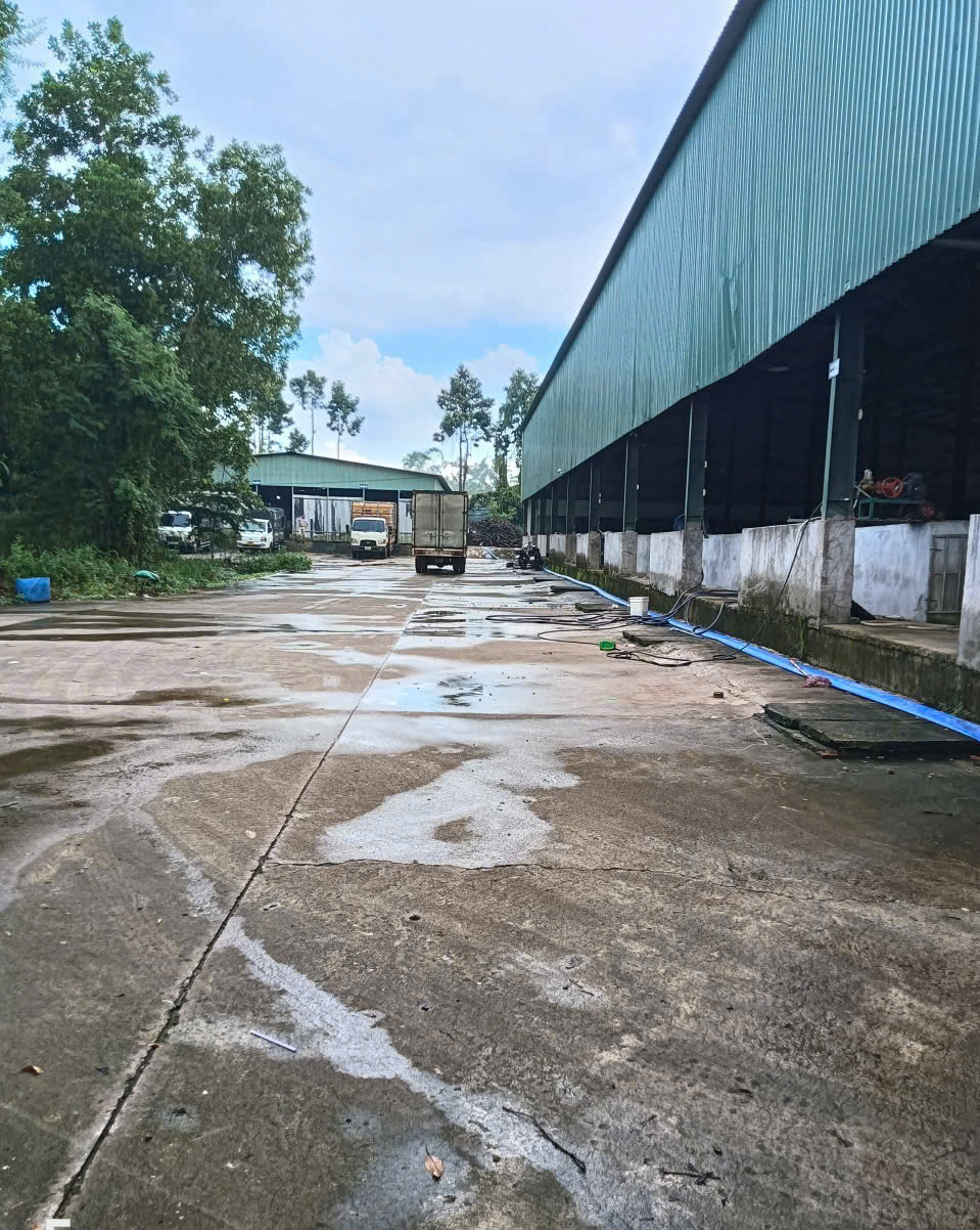 X135 chuyển nhượng nhà xưởng, lò mổ gia cầm tại Trảng Bom, pháp lý đầy đủ