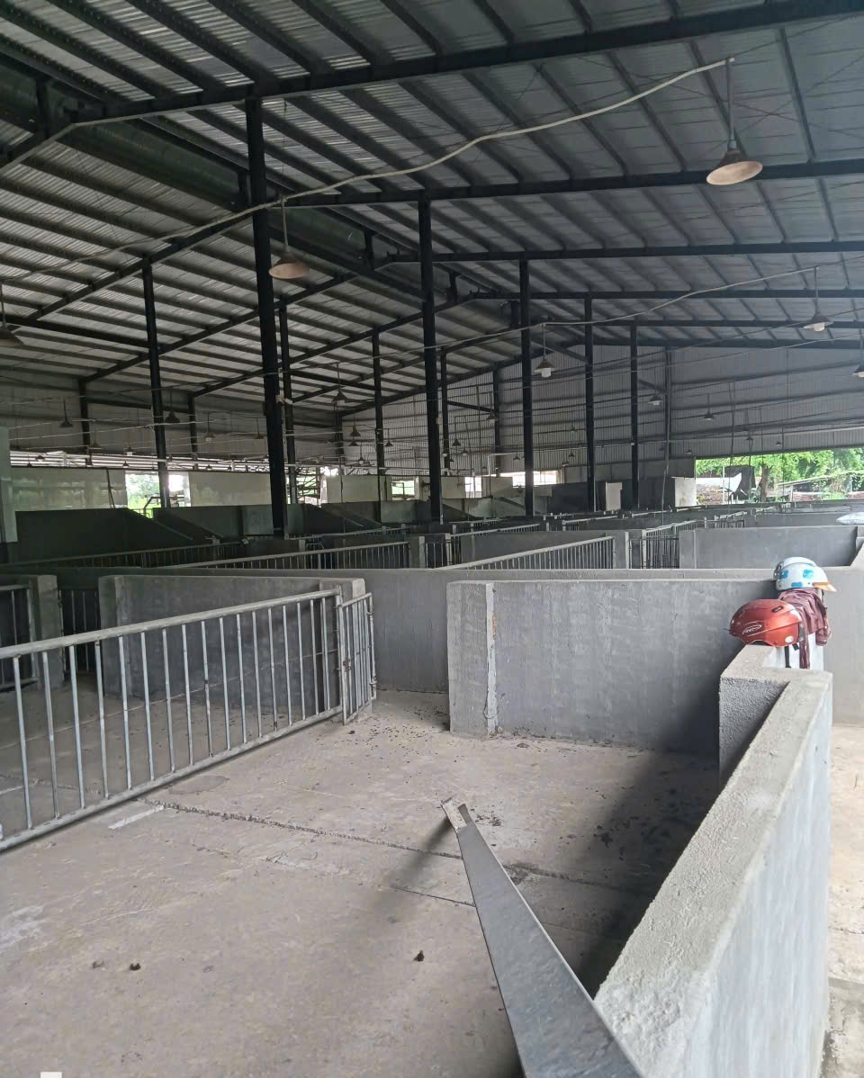 X135 chuyển nhượng nhà xưởng, lò mổ gia cầm tại Trảng Bom, pháp lý đầy đủ-3