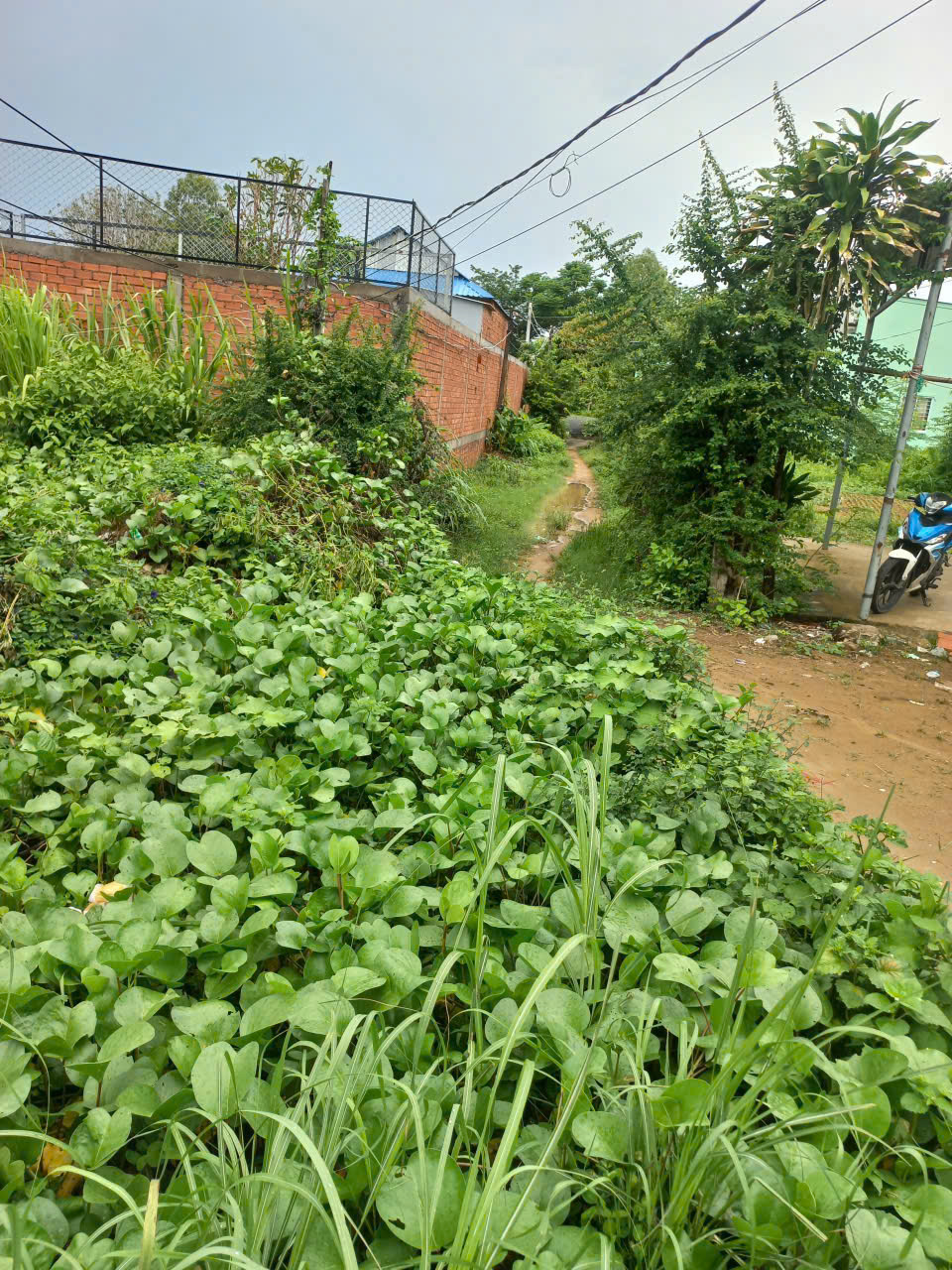 ► BÁN GẤP ĐẤT TRUNG TÂM TX. DUYÊN HẢI – TRÀ VINH-3