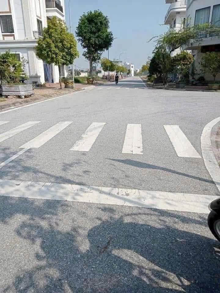 Giá cực tốt. Đất đô thị Thanh Quang gần KCN An Phát và Chợ Rồng, vị trí đẹp - Thích hợp ở và đầu tư