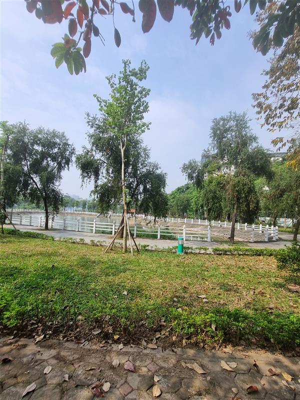 BÁN ĐẤT VIỆT HƯNG 66M2- MT 4.7M- NGÕ THÔNG – Ô TÔ TRÁNH- 9.8 TỶ-1