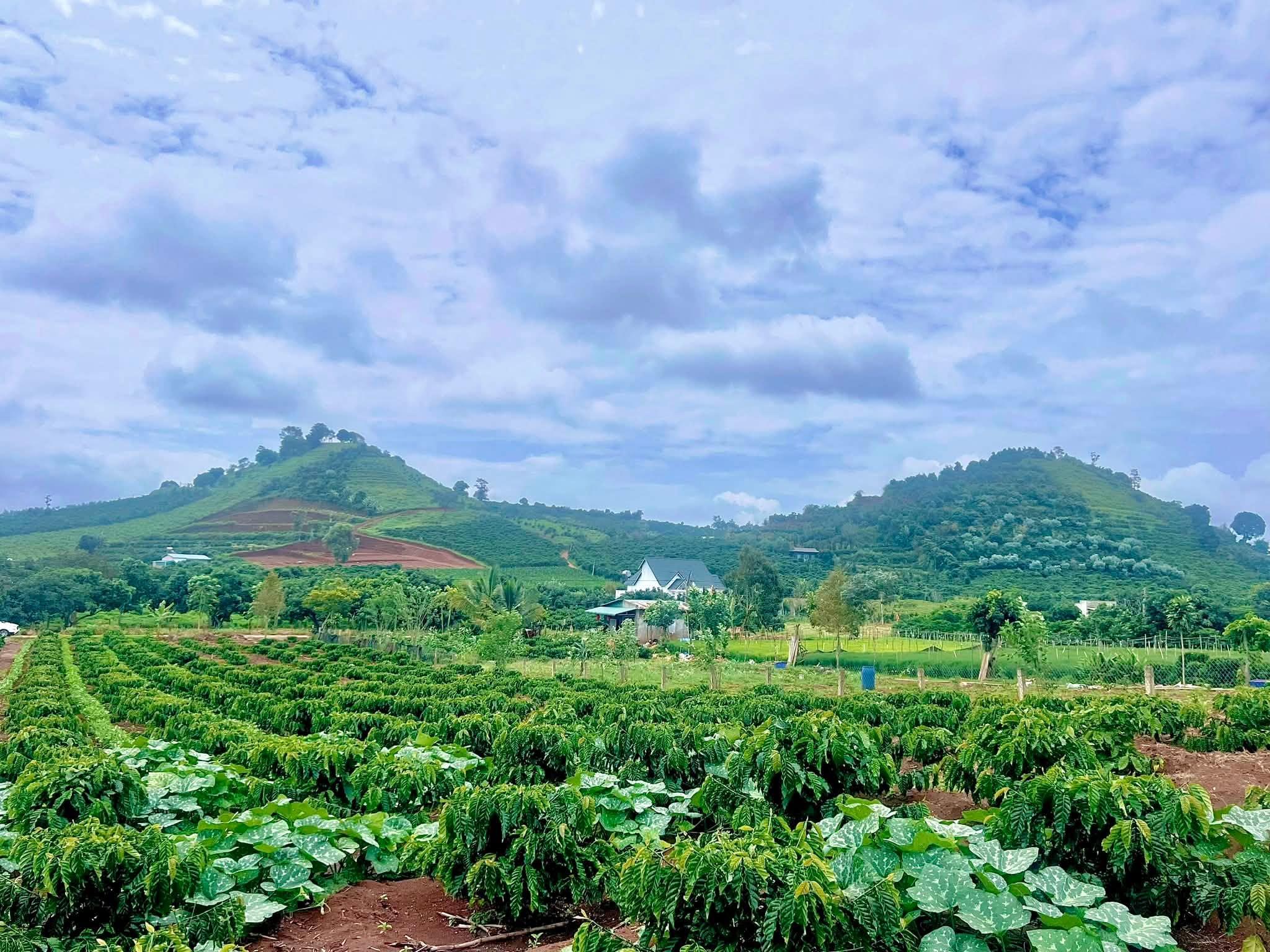 Cần Bán Đất Ven Đà Lạt 1.001m² Có 200m² Thổ Cư View Núi Đẹp Tại Nam Hà