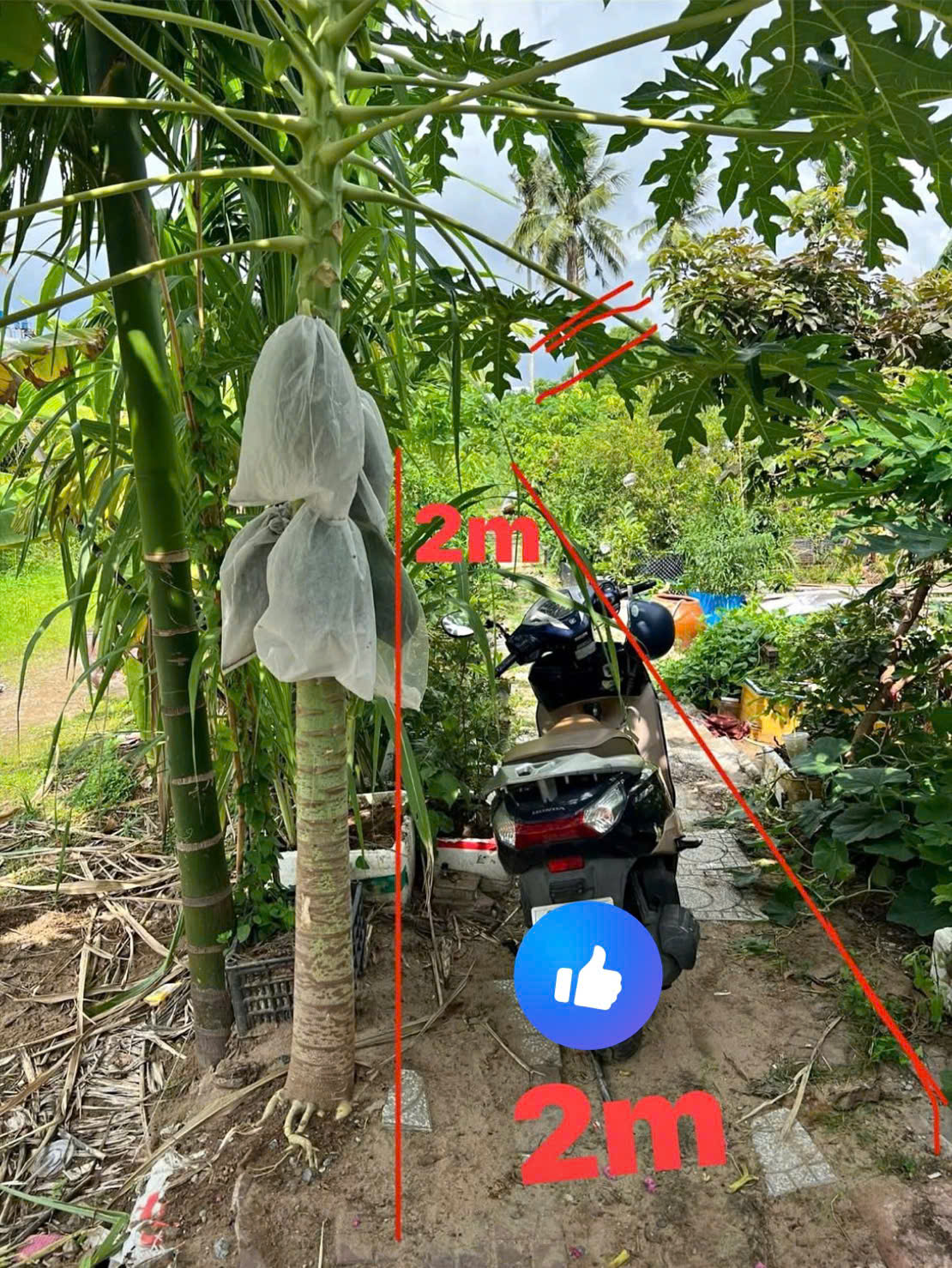 BÁN ĐẤT CHÍNH CHỦ – HẺM 1060 NGUYỄN TRUNG TRỰC, PHƯỜNG RẠCH GIÁ