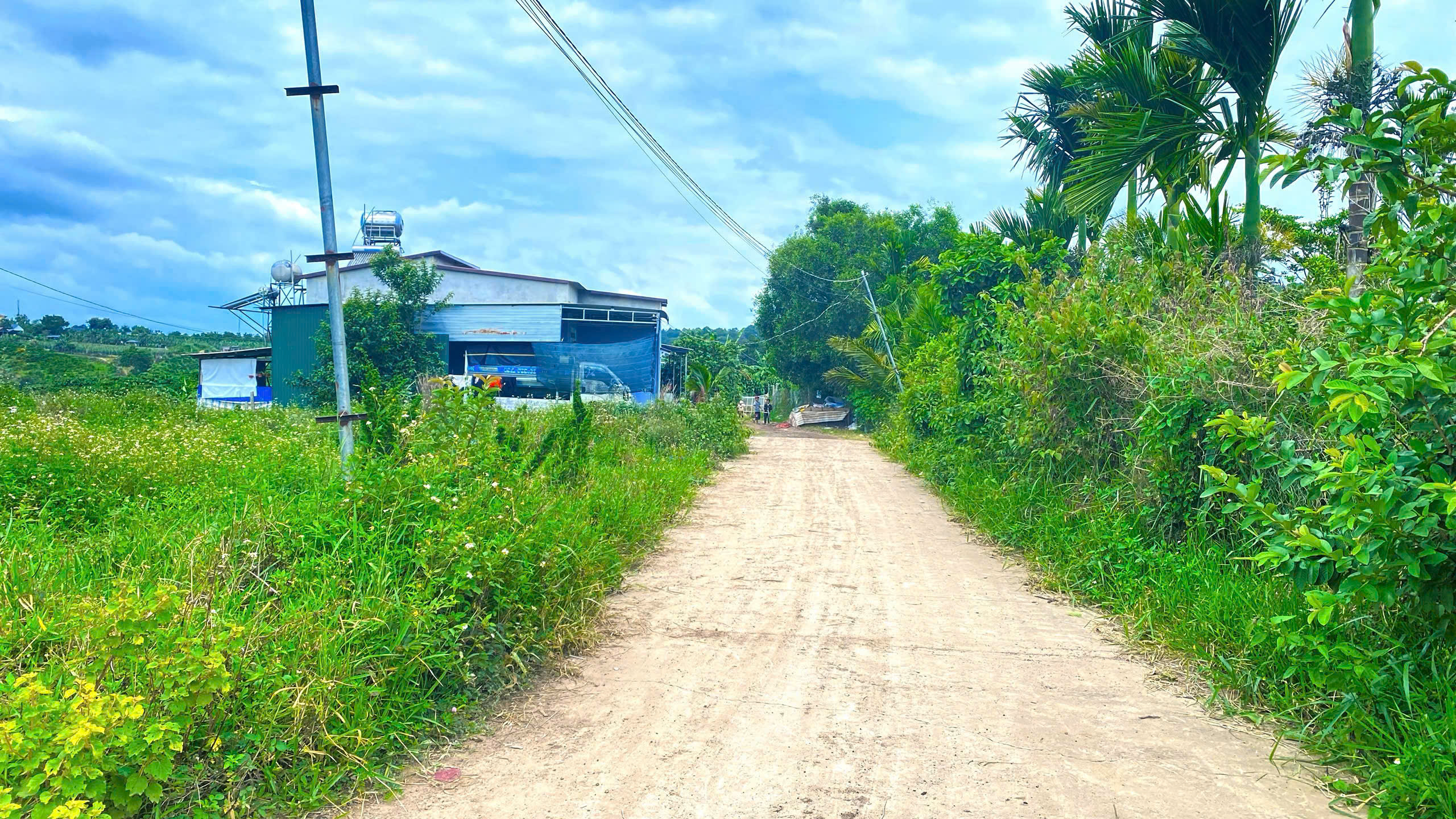 Hẻm ql27, cây số 5, n'thôn hạ, đức trọng cũ, lâm đồng-3