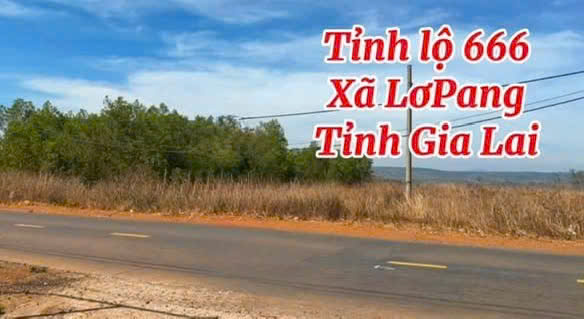 ĐẤT MẶT TIỀN TỈNH LỘ 666, GIA LAI – VỊ TRÍ ĐẦU TƯ CỰC TỐT