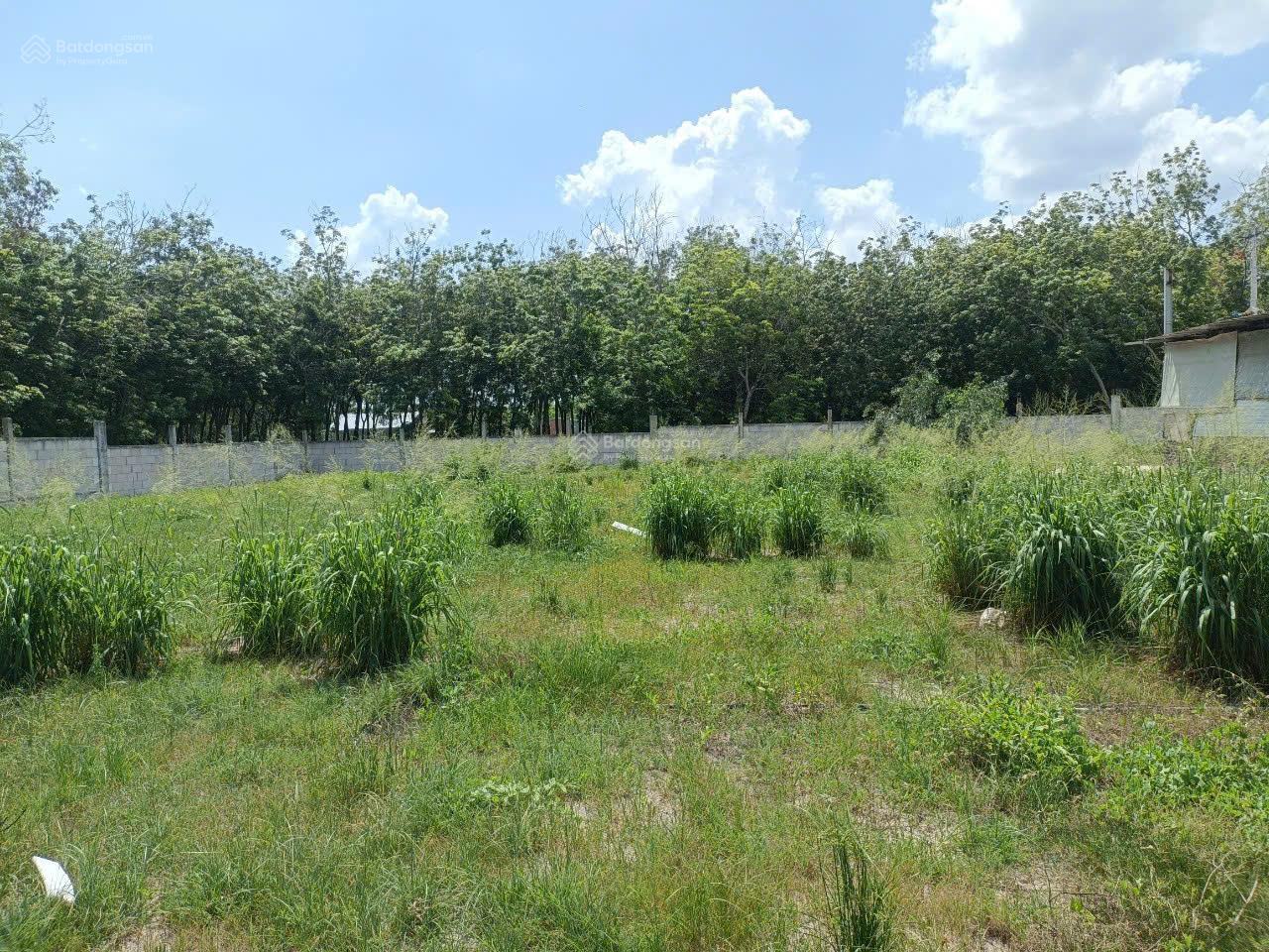 CHÍNH CHỦ BÁN 4.714,6M2 ĐẤT SẴN SỔ NGAY CỔNG KCN MINH HƯNG III