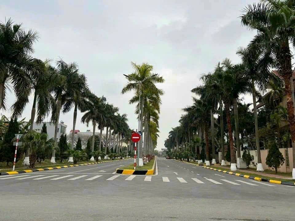 Biệt thự KCN Đại An Tứ Minh 300m2 mặt 17.65m đường đôi giá đầu tư-4