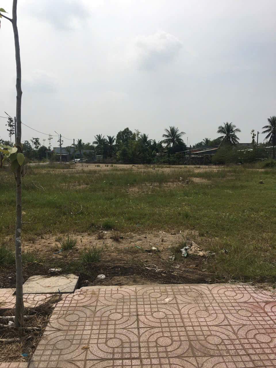 ĐẦU TƯ SINH LỜI - ĐẤT ĐẸP –  CHÍNH CHỦ Cần Bán Đất Đường Quốc lộ 50, Xã Mỹ Lệ, Huyện Cần Đước, Long An.