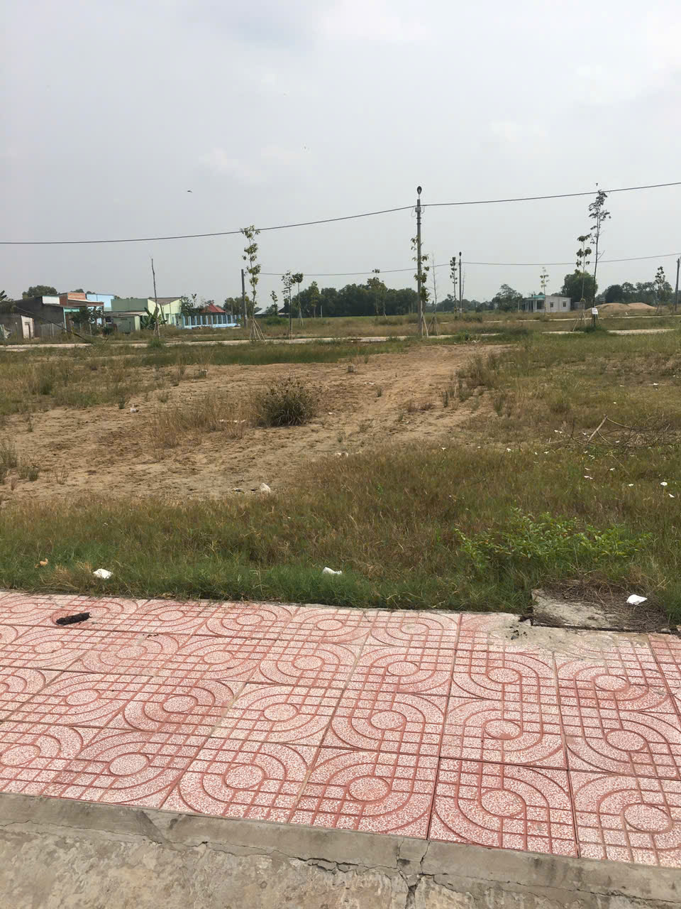 ĐẦU TƯ SINH LỜI - ĐẤT ĐẸP –  CHÍNH CHỦ Cần Bán Đất Đường Quốc lộ 50, Xã Mỹ Lệ, Huyện Cần Đước, Long An.-3
