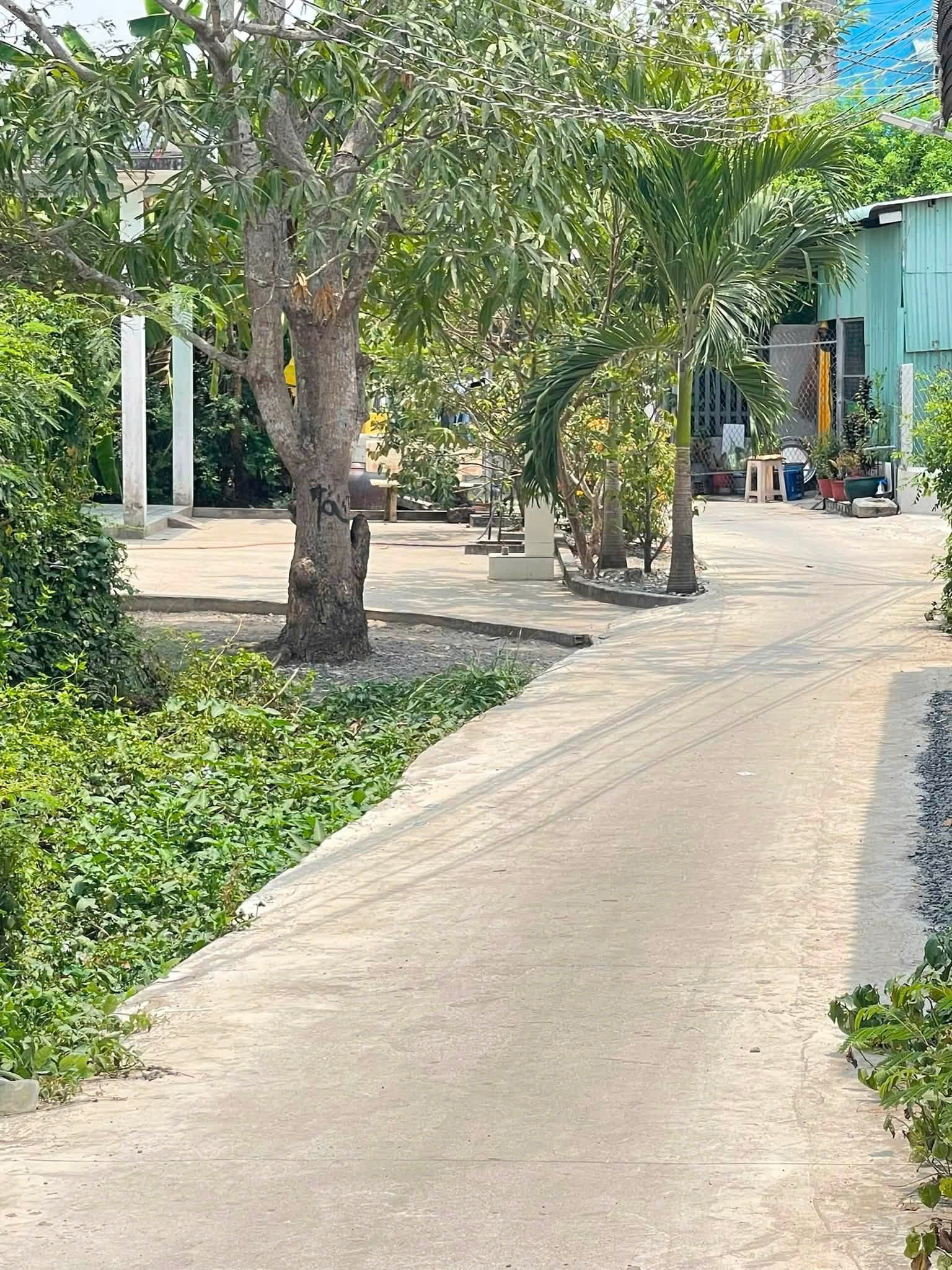 Chính chủ bán đất thổ cư 195m² xã Phước Vĩnh Tây, Tây Ninh - Mặt tiền đẹp 6,5m - Sổ riêng chỉ 2,3 tỷ-3